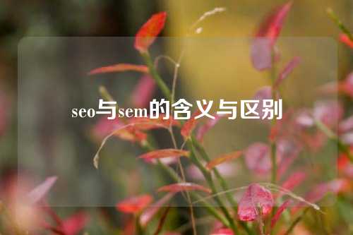 seo与sem的含义与区别