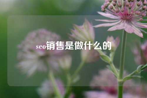 seo销售是做什么的