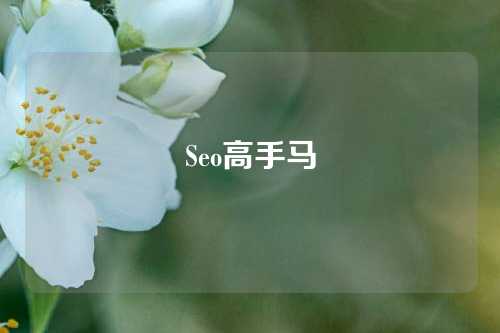 Seo高手马