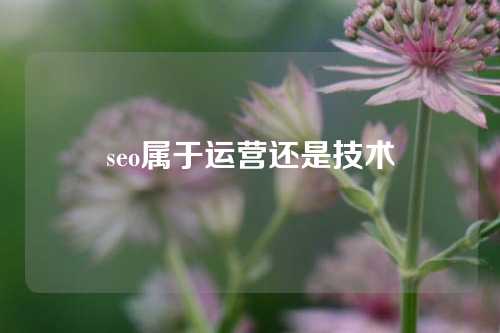 seo属于运营还是技术