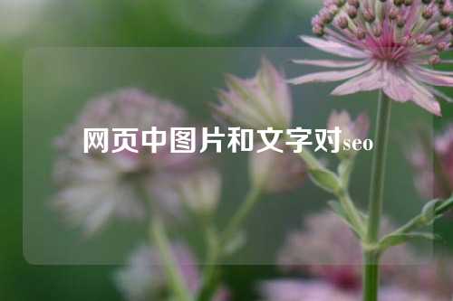 网页中图片和文字对seo