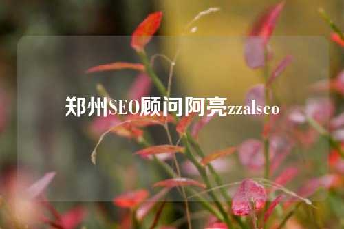 郑州SEO顾问阿亮zzalseo