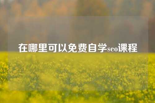 在哪里可以免费自学seo课程