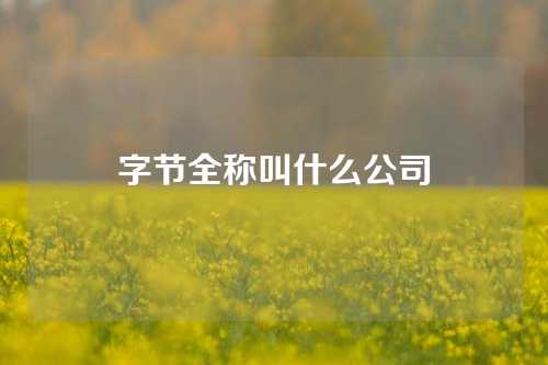 字节全称叫什么公司