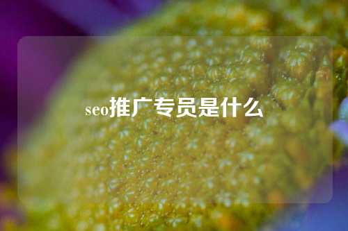 seo推广专员是什么