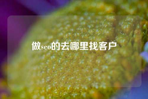 做seo的去哪里找客户