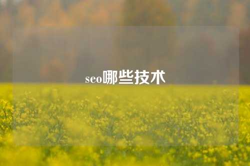 seo哪些技术