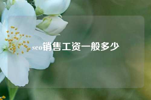 seo销售工资一般多少