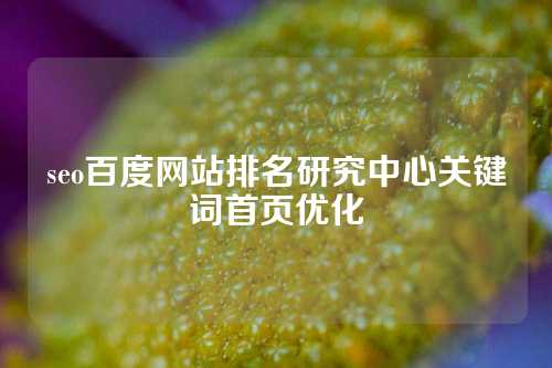 seo百度网站排名研究中心关键词首页优化