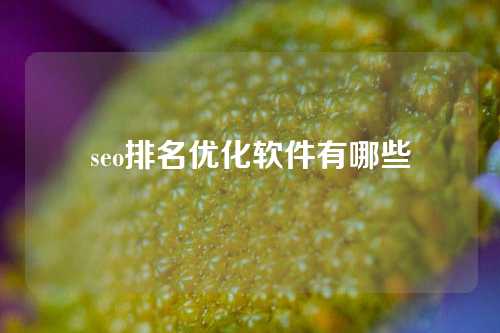 seo排名优化软件有哪些