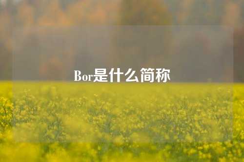 Bor是什么简称