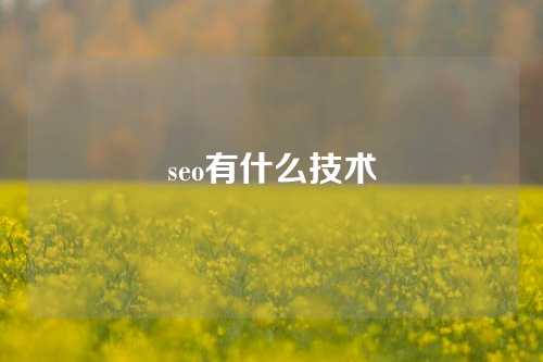 seo有什么技术