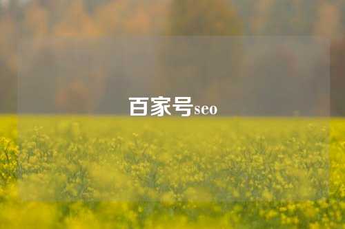 百家号seo