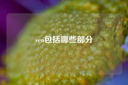 seo包括哪些部分