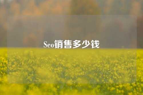 Seo销售多少钱