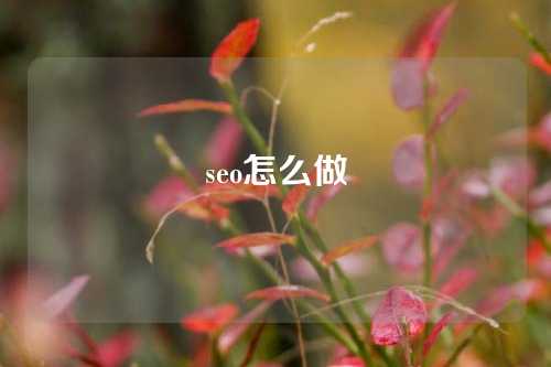 seo怎么做