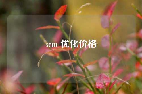 sem 优化价格