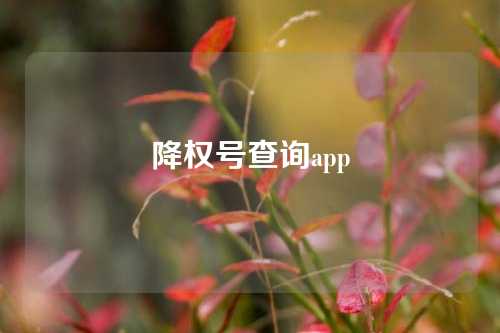 降权号查询app