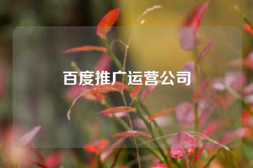 百度推广运营公司