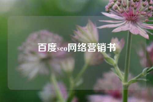 百度seo网络营销书