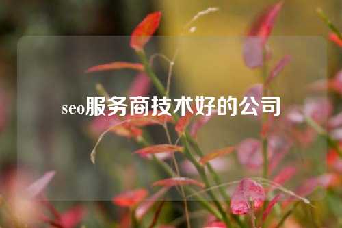 seo服务商技术好的公司