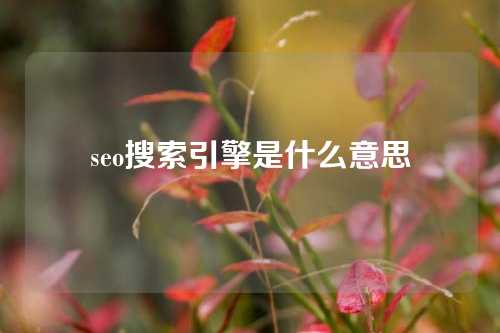 seo搜索引擎是什么意思