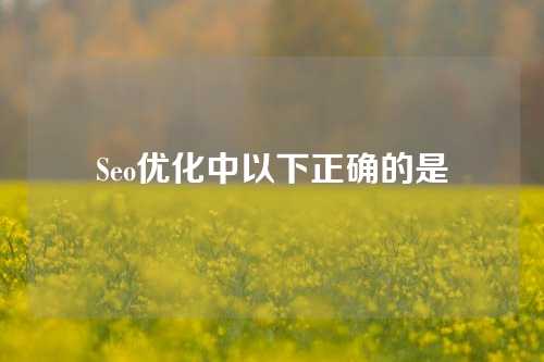 Seo优化中以下正确的是