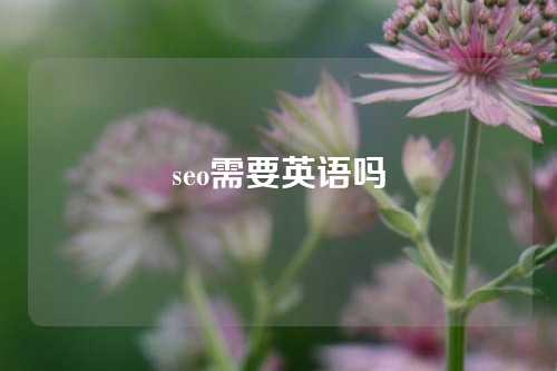 seo需要英语吗