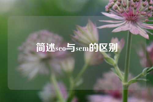 简述seo与sem的区别