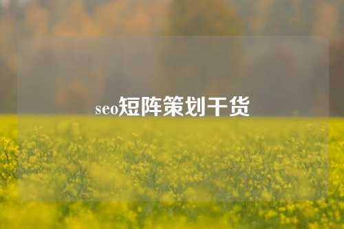 seo短阵策划干货