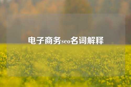 电子商务seo名词解释