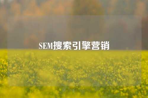 SEM搜索引擎营销