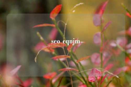 seo cqnjm