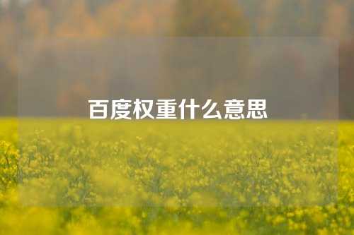 百度权重什么意思