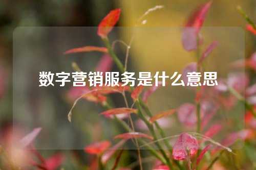 数字营销服务是什么意思