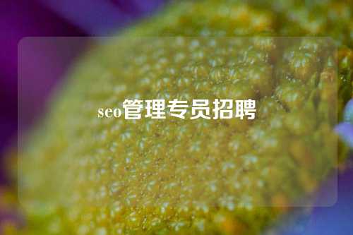 seo管理专员招聘