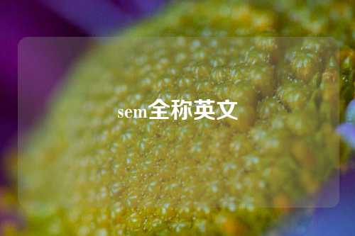 sem全称英文