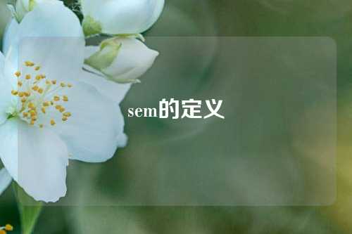 sem的定义