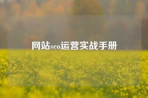 网站seo运营实战手册