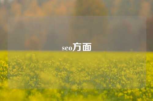 seo方面