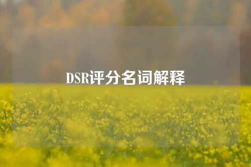 DSR评分名词解释