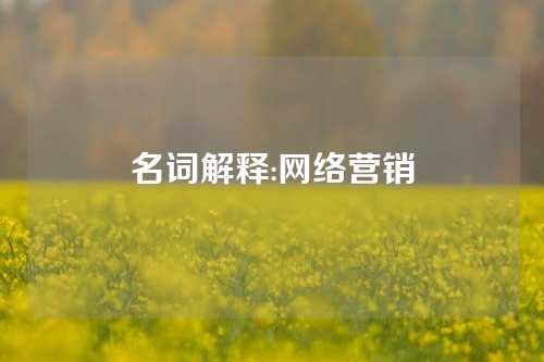 名词解释:网络营销