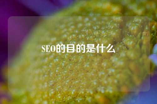 SEO的目的是什么