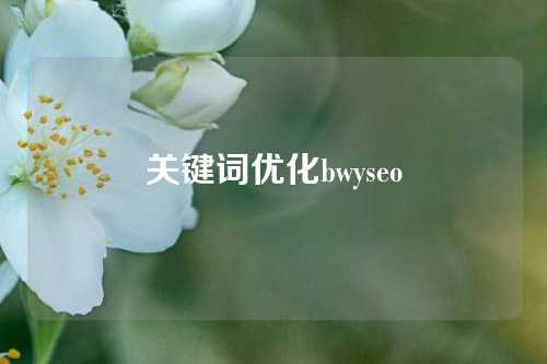 关键词优化bwyseo