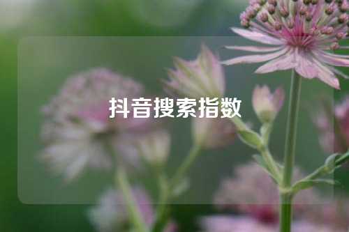 抖音搜索指数