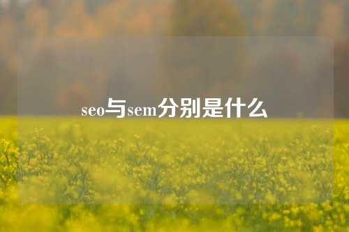 seo与sem分别是什么