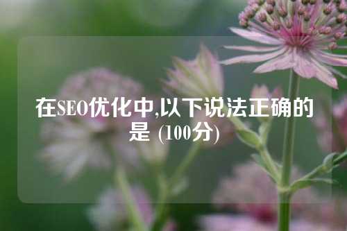 在SEO优化中,以下说法正确的是 (100分)