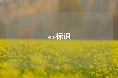 seo标识