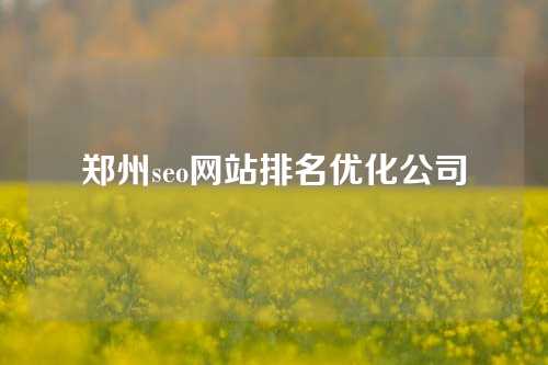 郑州seo网站排名优化公司