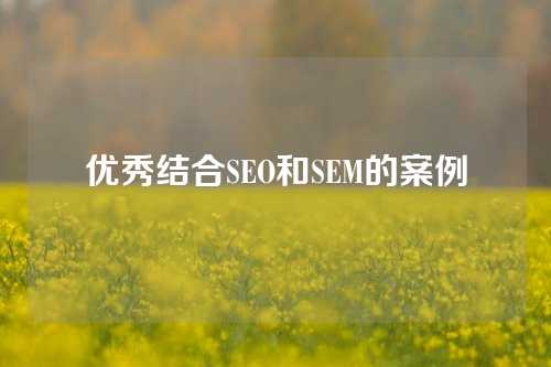 优秀结合SEO和SEM的案例